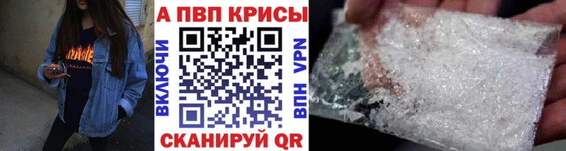 магазин продажи   Шарья  Альфа ПВП СК 