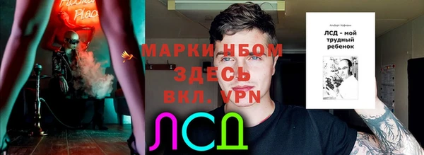 стафф Медвежьегорск