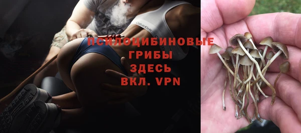 стафф Медвежьегорск