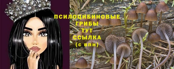 стафф Медвежьегорск