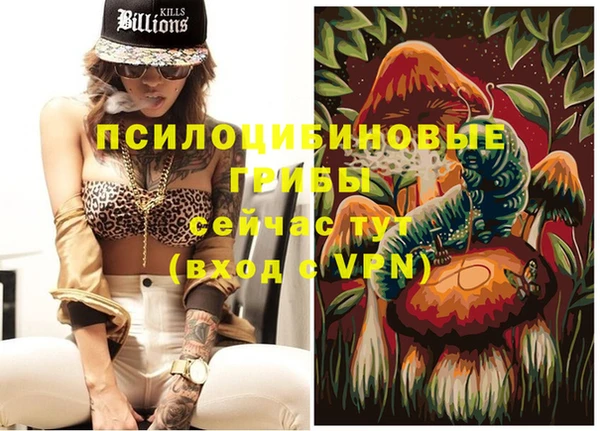 mix Медногорск